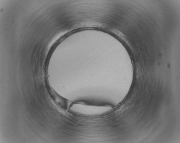 X0000068321024200605192028