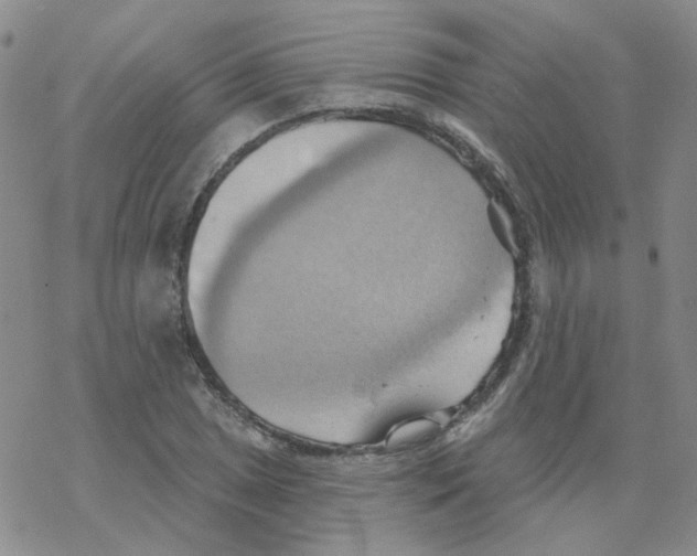 X0000068321025200605192028