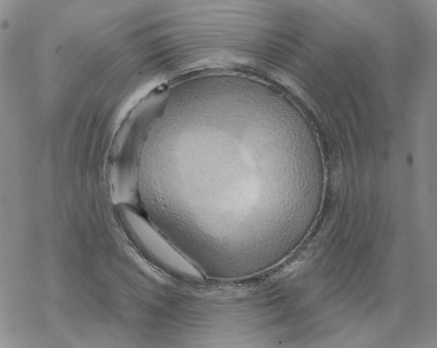 X0000068321026200605192028