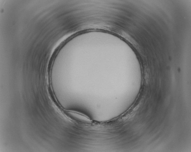 X0000068321028200605192028