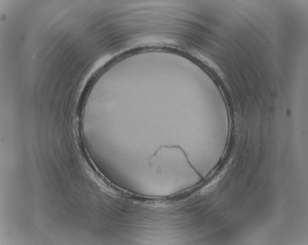 X0000068321029200605192028