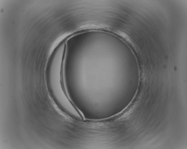 X0000068321030200605192028