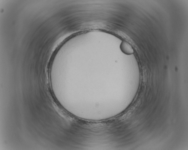 X0000068321031200605192028