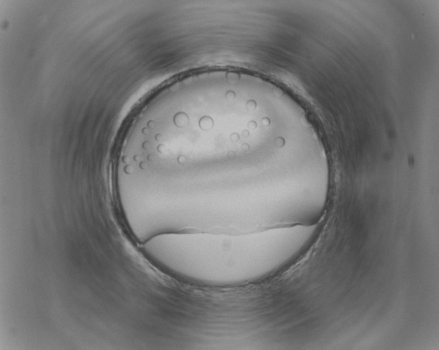 X0000068321032200605192028