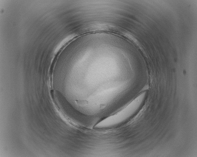 X0000068321034200605192028