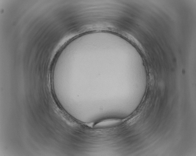 X0000068321035200605192028