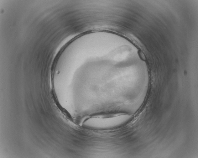 X0000068321036200605192028