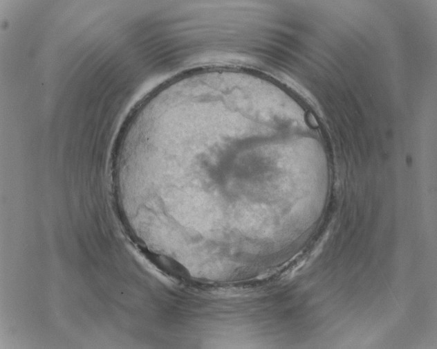 X0000068321037200605192028