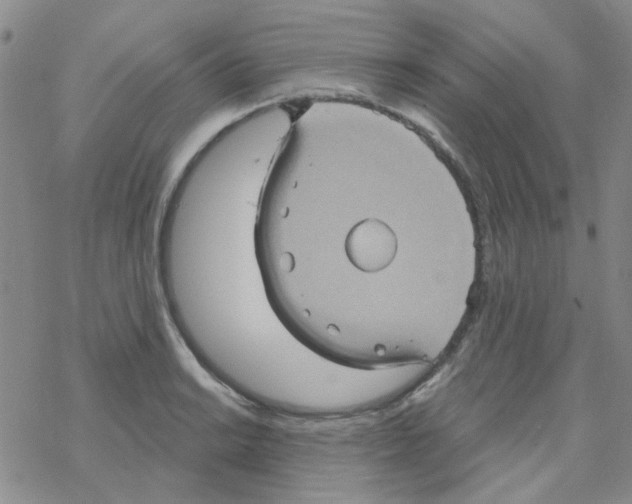 X0000068321038200605192028