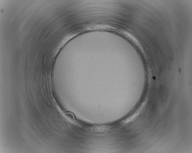 X0000068321041200605192028