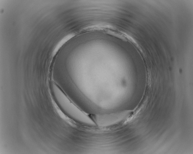 X0000068321042200605192028