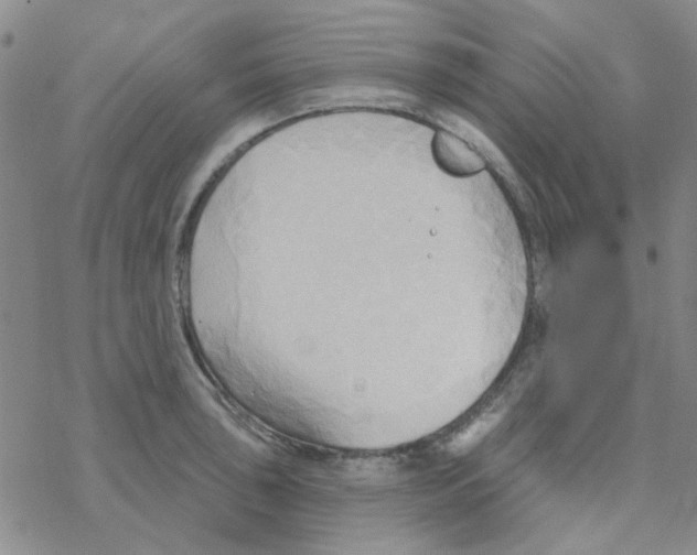 X0000068321043200605192028