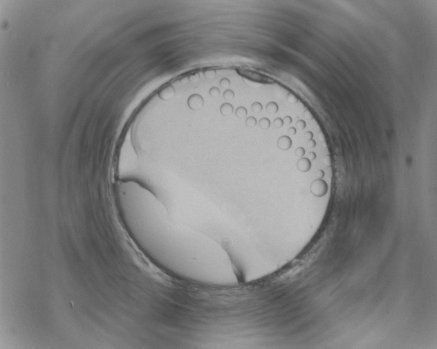 X0000068321044200605192028