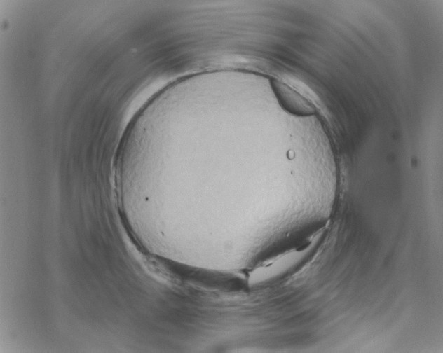 X0000068321047200605192028