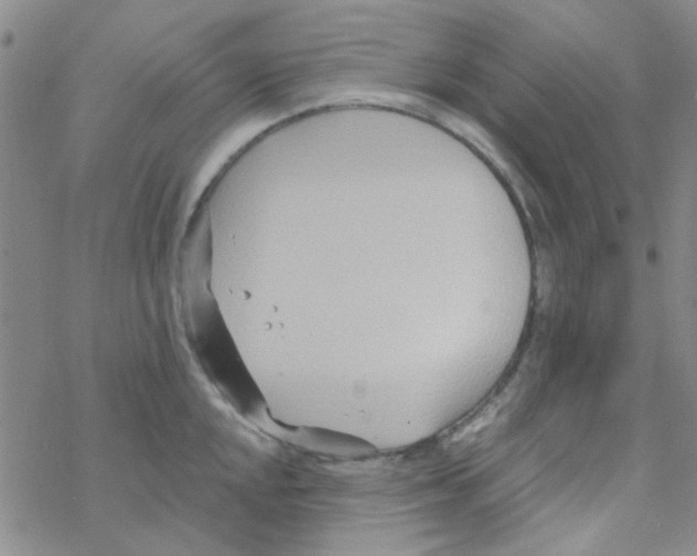 X0000068321048200605192028