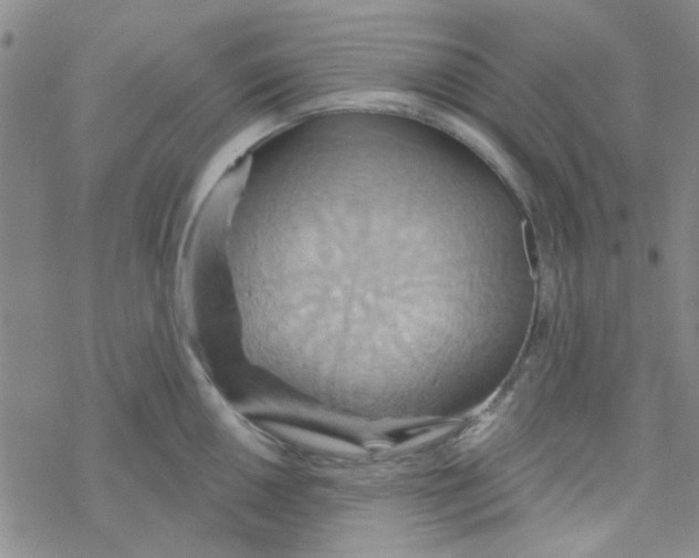 X0000068321050200605192028