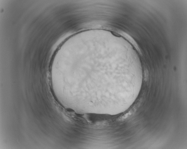 X0000068321051200605192028