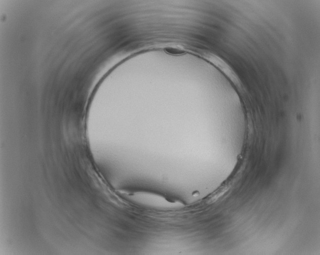 X0000068321052200605192028