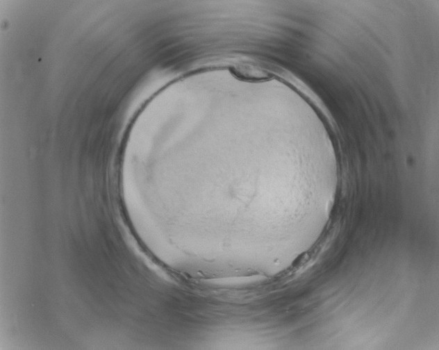 X0000068321053200605192028