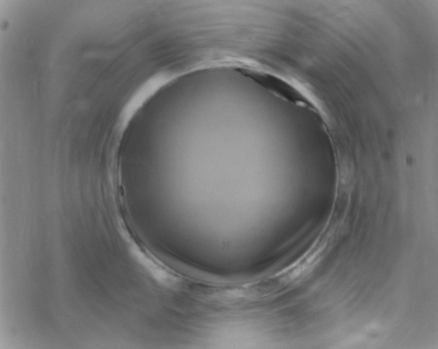 X0000068321054200605192028