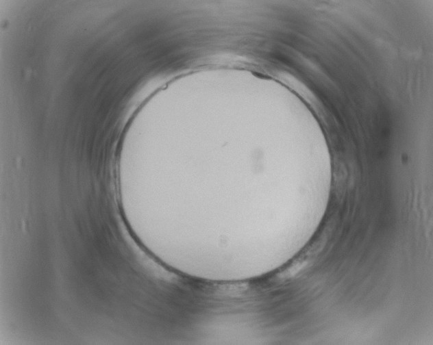 X0000068321055200605192028