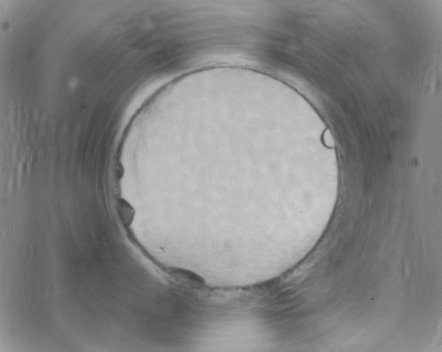 X0000068321056200605192028