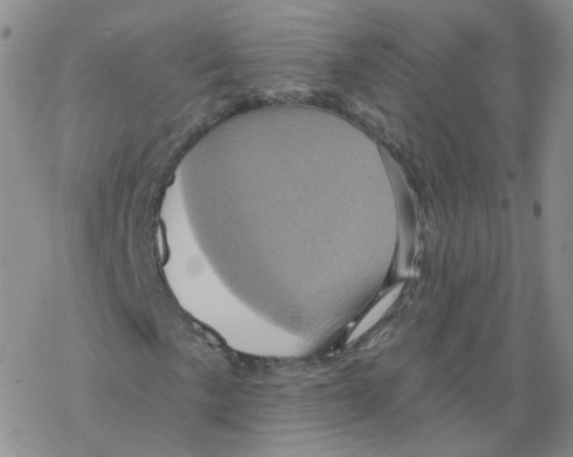 X0000068321057200605192027