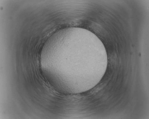 X0000068321058200605192027