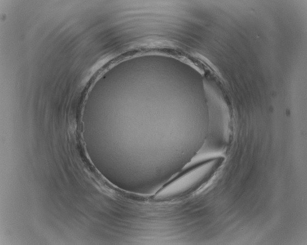 X0000068321065200605192027