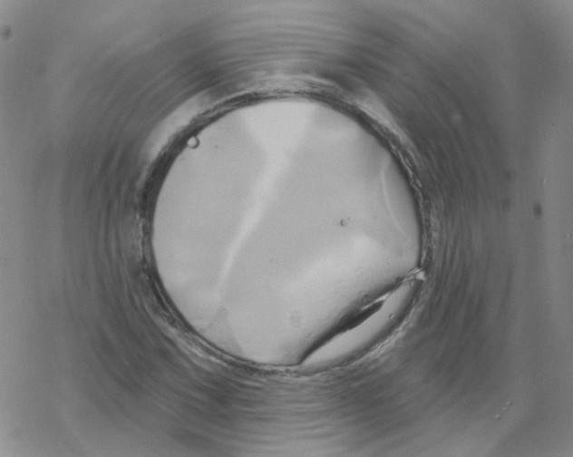 X0000068321067200605192027