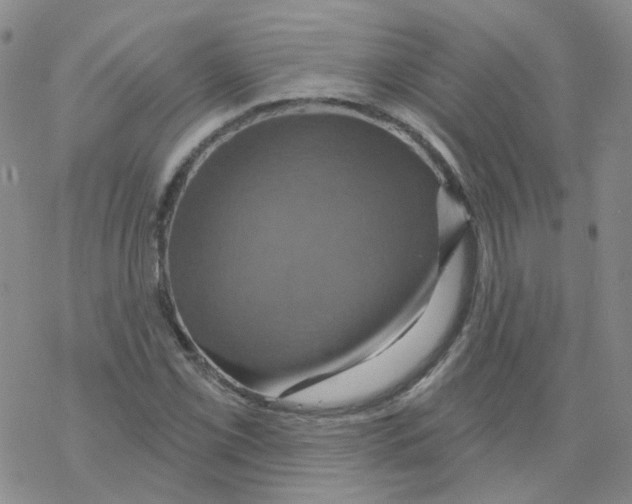 X0000068321069200605192027