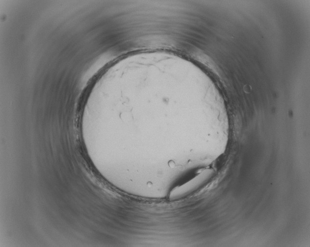 X0000068321071200605192027