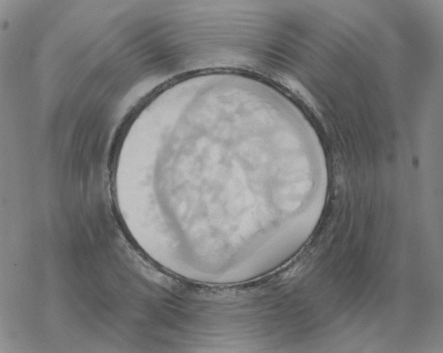 X0000068321072200605192027