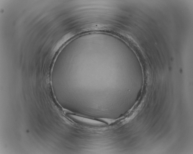 X0000068321073200605192027