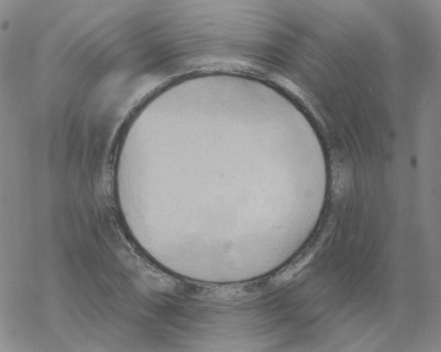 X0000068321074200605192027