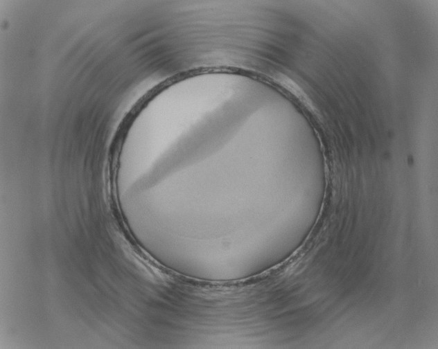 X0000068321076200605192027