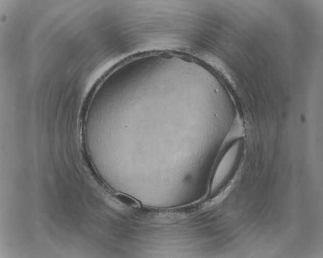 X0000068321077200605192027