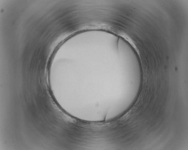 X0000068321080200605192027