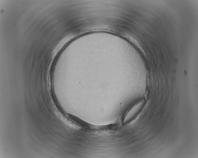 X0000068321082200605192027