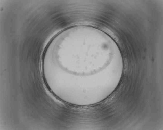 X0000068321084200605192027