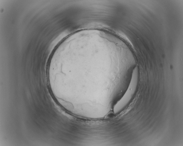 X0000068321087200605192027