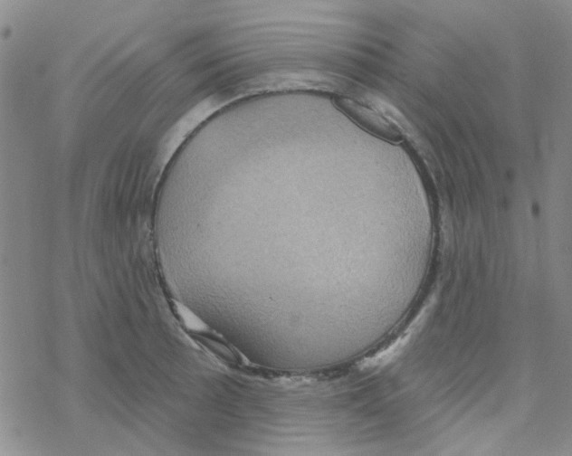 X0000068321089200605192027