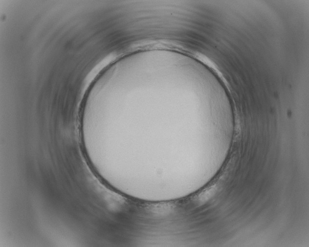 X0000068321090200605192027