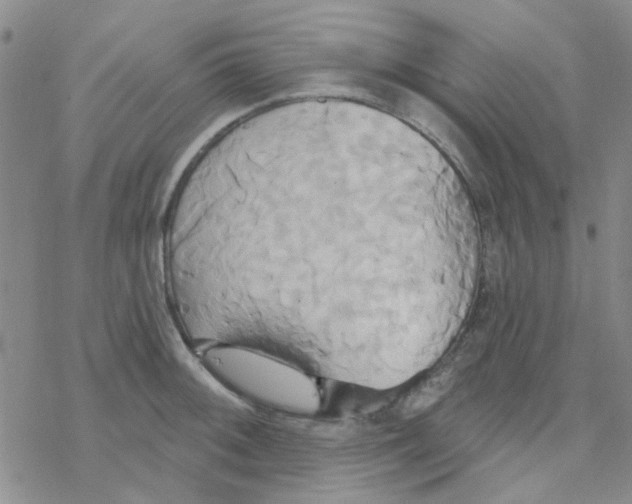 X0000068321092200605192027