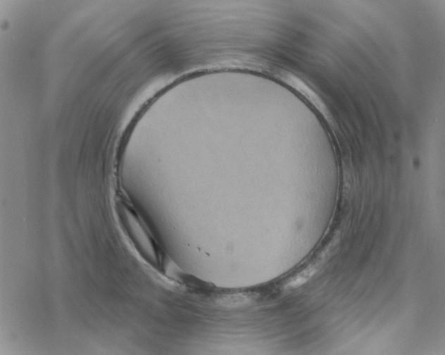 X0000068321093200605192027