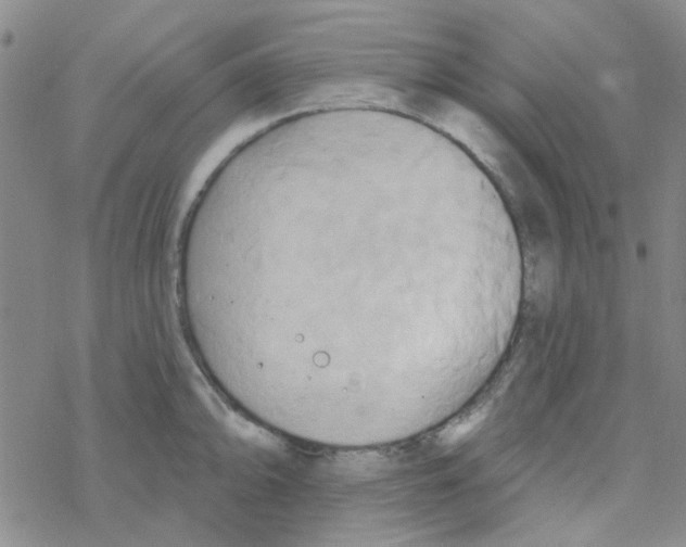 X0000068321094200605192027