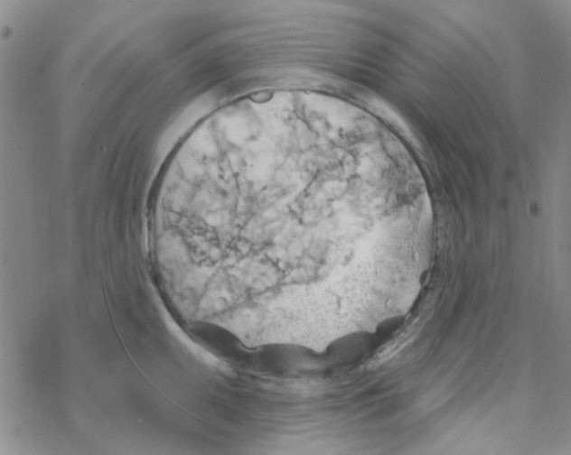 X0000068321095200605192027