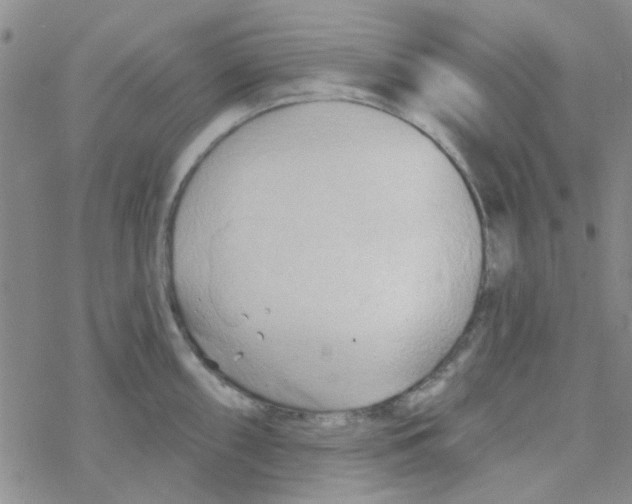 X0000068321098200605192027