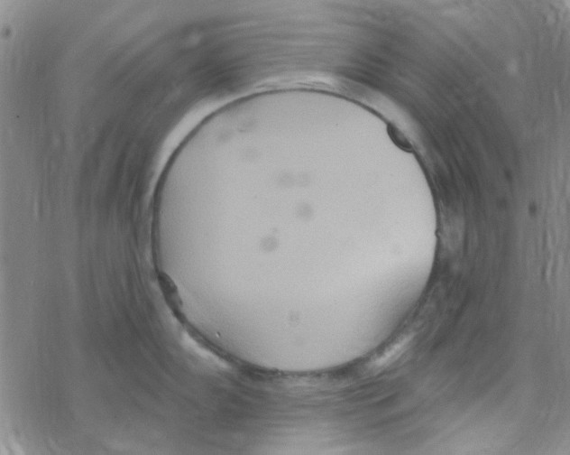 X0000068321102200605192027