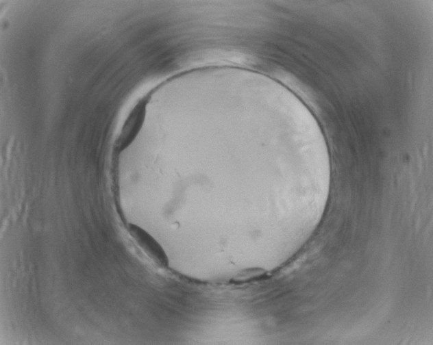 X0000068321104200605192027